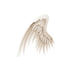 Left Angel Wing